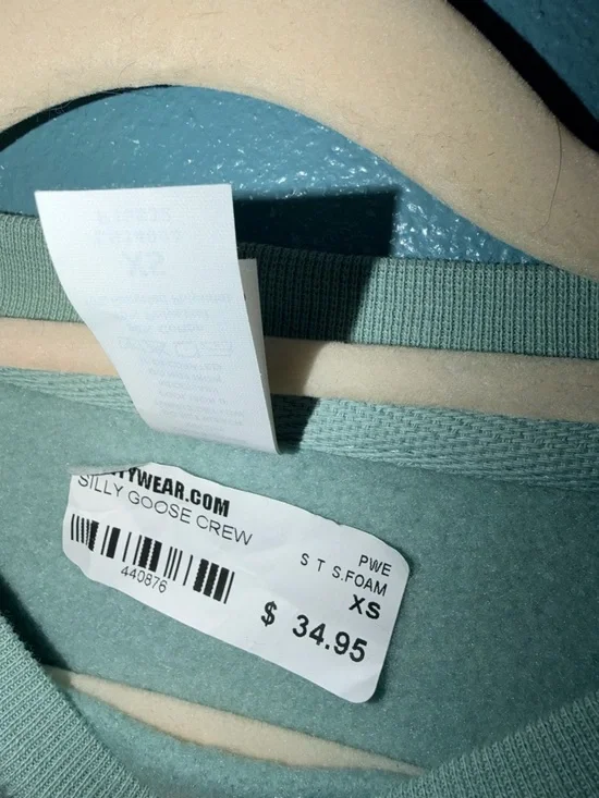 Mint Green 'Silly Goose' Graphic Sweatshirt - Picture 3 of 3